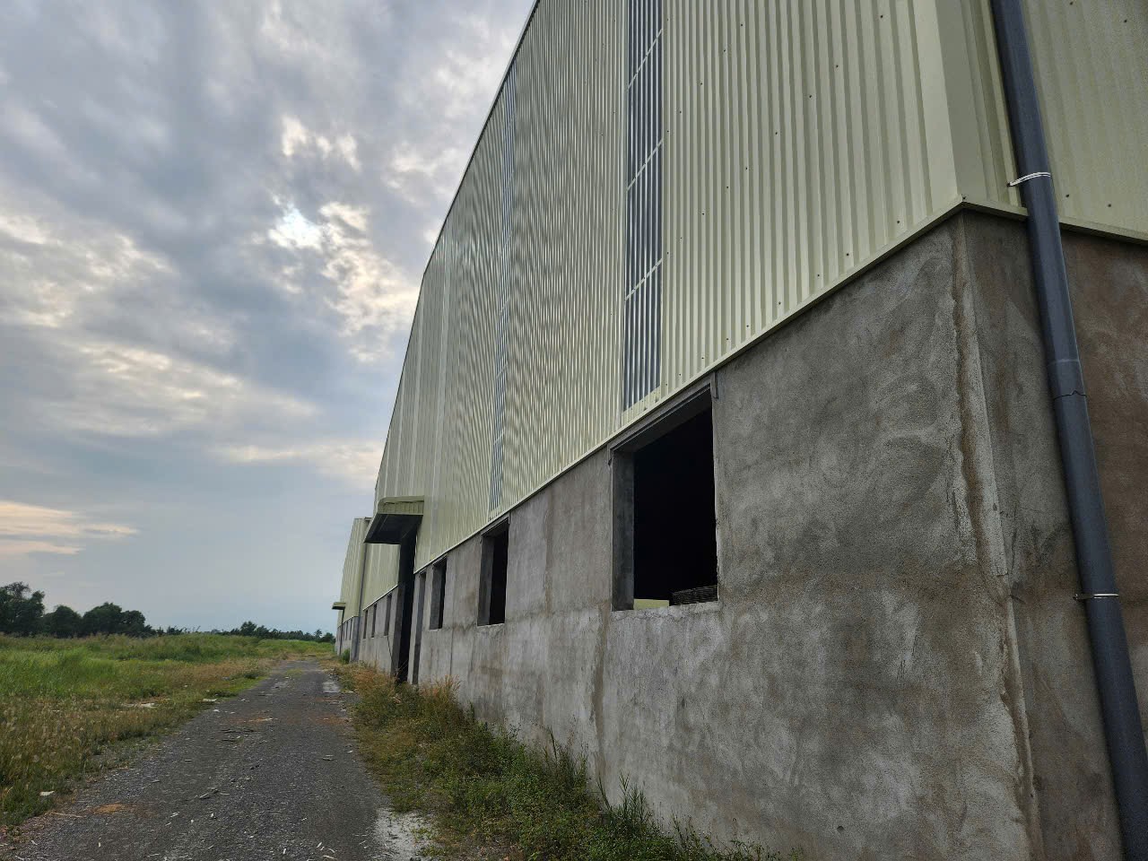 Cho thuê kho xưởng Bến Lức. Long An. - diện tích: 15.000m - Giá 70 nghìn/m²/xưởng