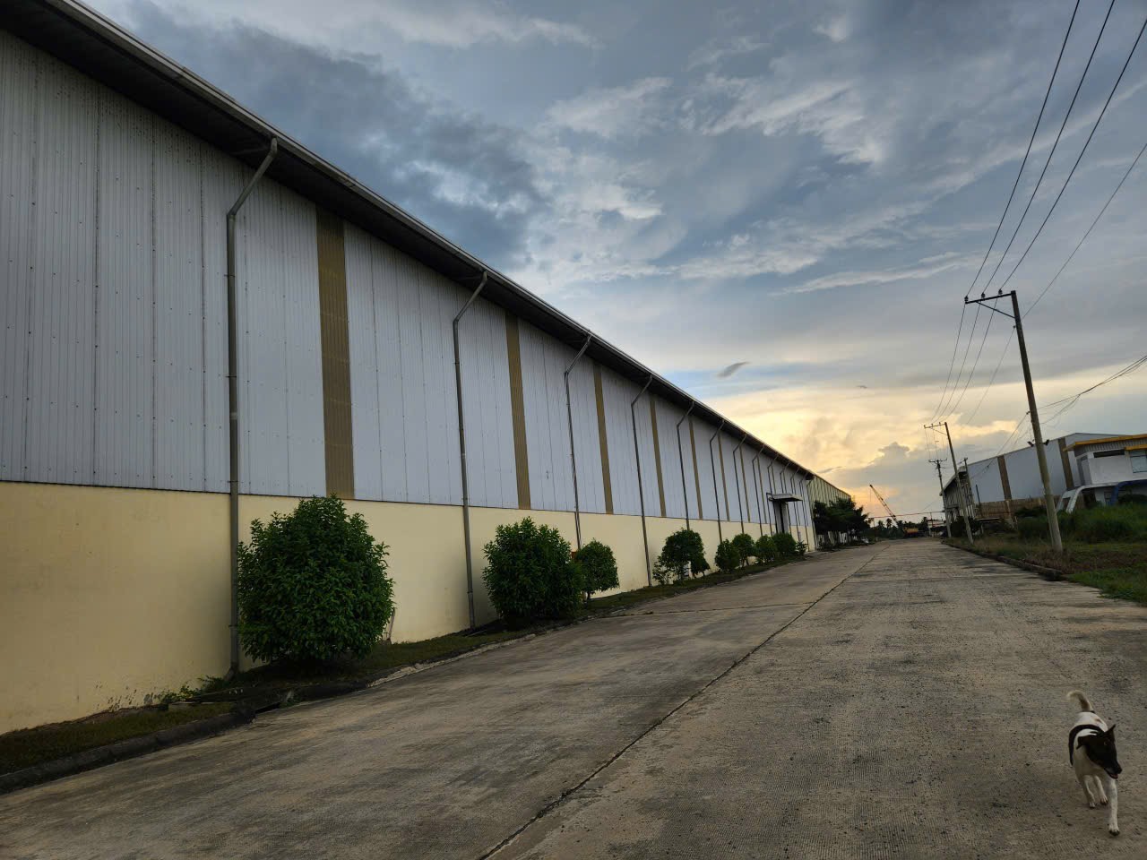 Cho thuê kho xưởng đường tỉnh lộ 62 Tân An. Long An - Nhà Xưởng: 4.000m - Giá : 70 nghìn/m