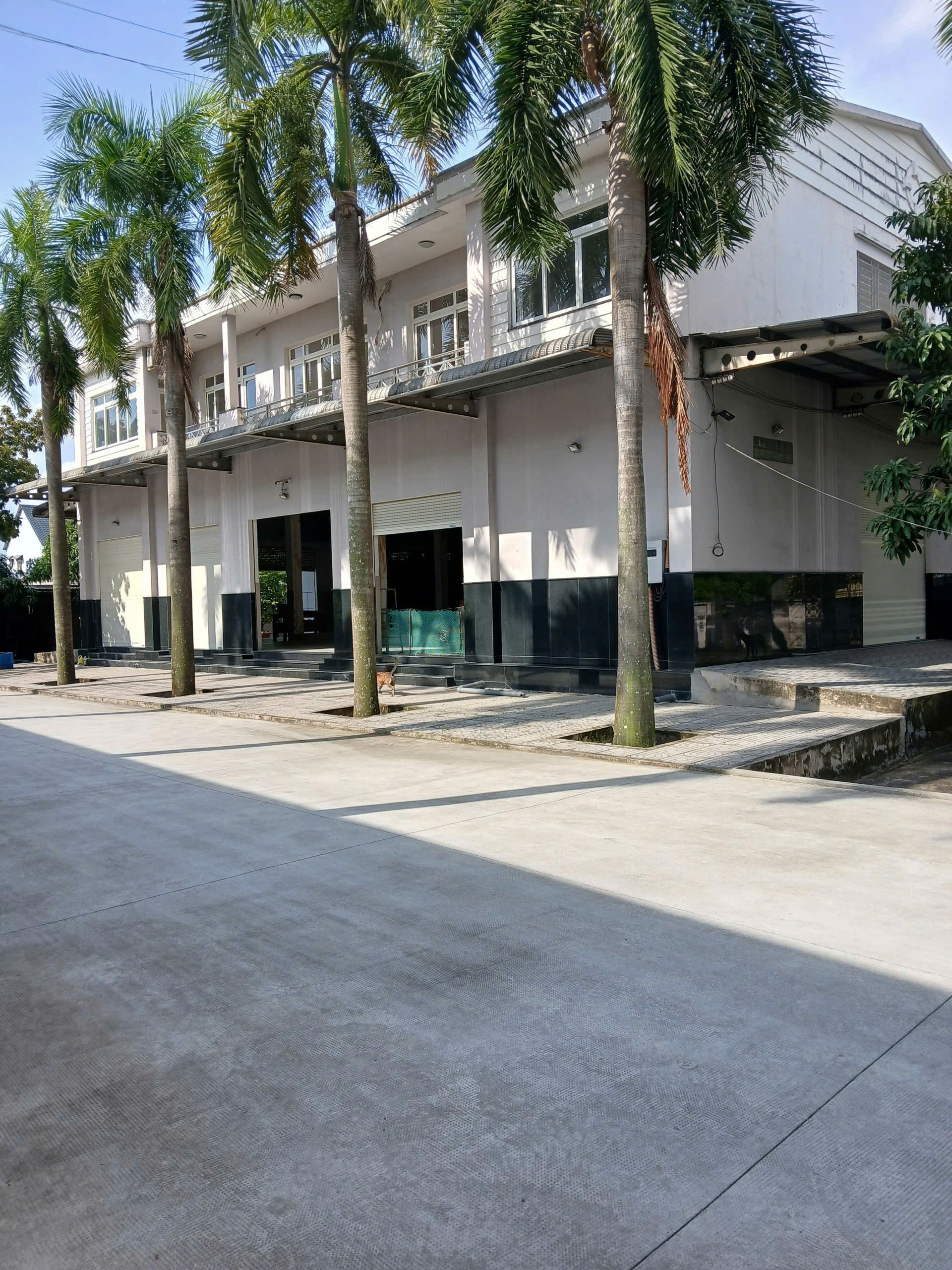 Cho thuê kho xưởng đường Dương Đình Cúc. Bình Chánh - Diện tích: 5.000m - Giá 250 triệu/ tháng