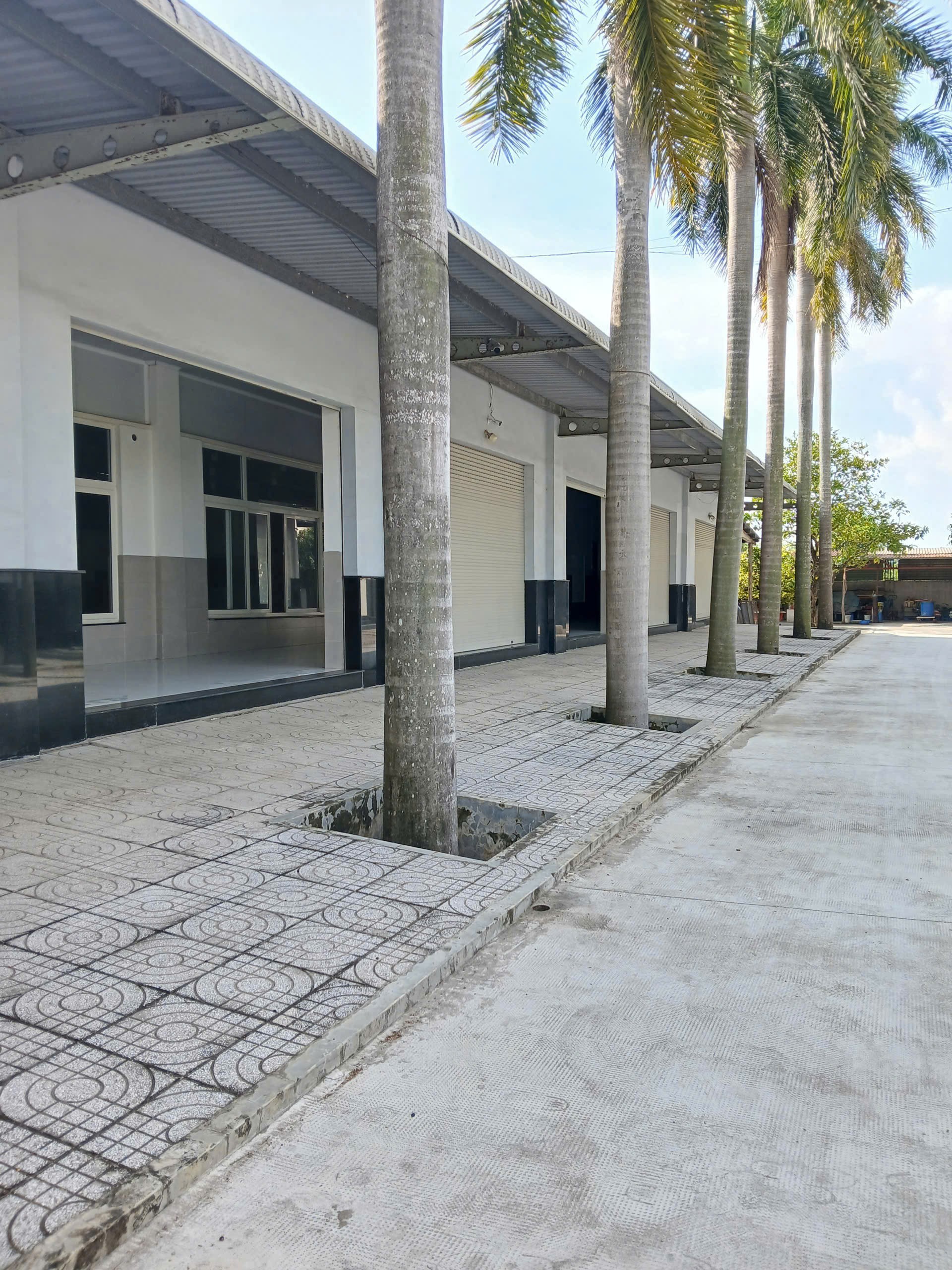 Cho thuê kho xưởng đường Dương Đình Cúc. Bình Chánh - Diện tích: 5.000m - Giá 250 triệu/ tháng