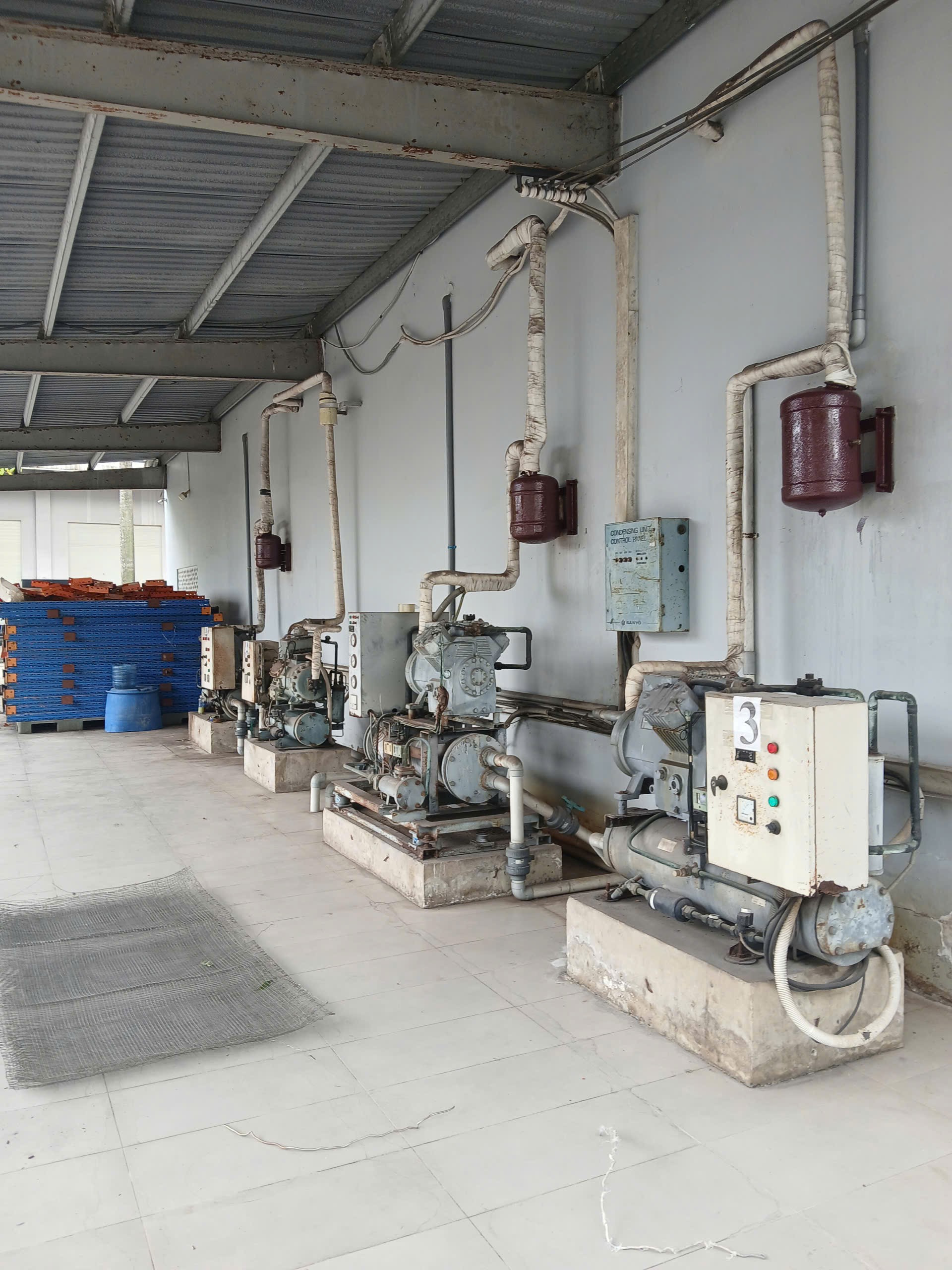 Cho thuê kho xưởng đường Dương Đình Cúc. Bình Chánh - Diện tích: 5.000m - Giá 250 triệu/ tháng